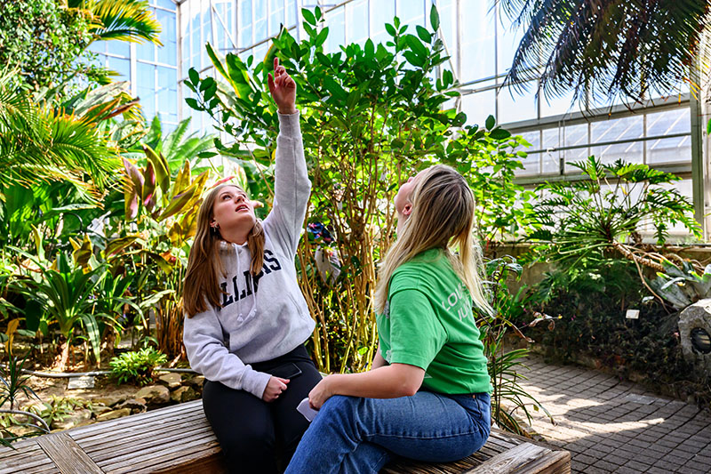 two students attending class in the conservatory surrounded by lush, green plants