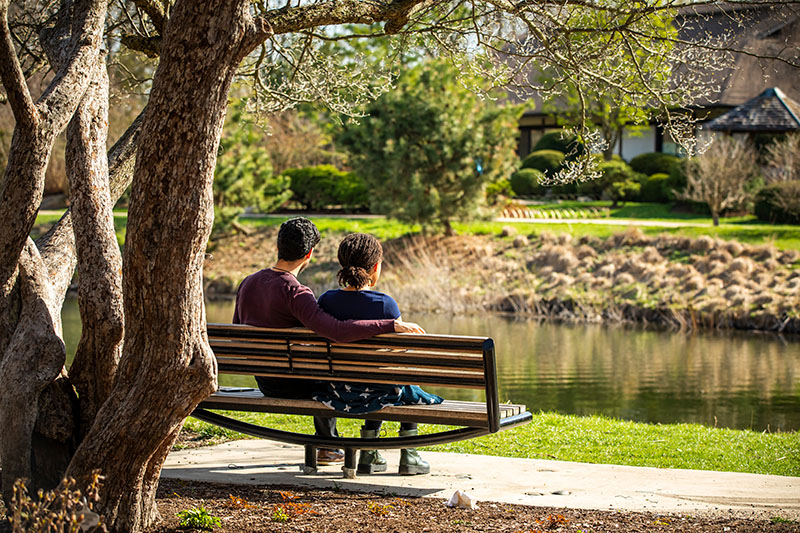 student couple sits peacefully on a bench alongside the pond in the campus arboretum