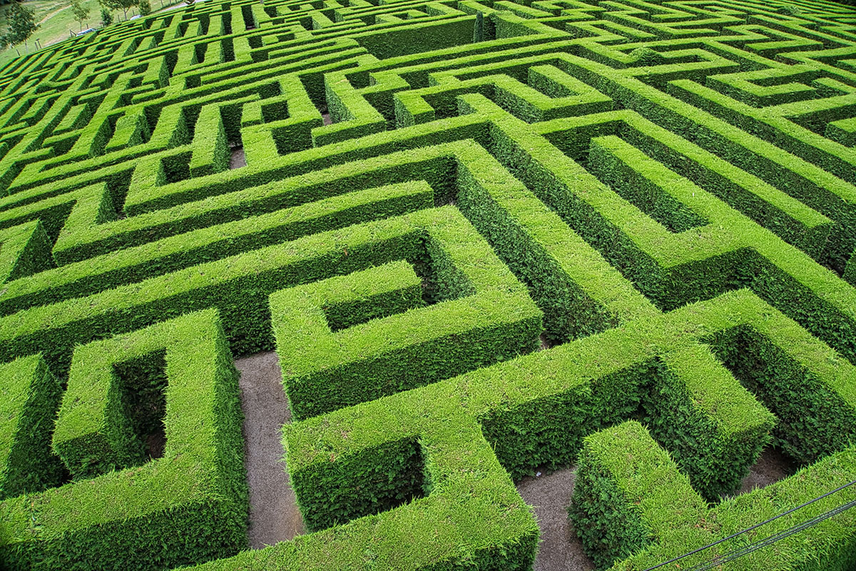 view of a large and complicated hedge maze